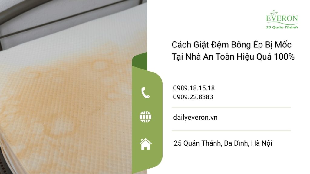 cách giặt đệm bông ép bị mốc​