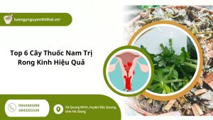cây thuốc nam trị rong kinh