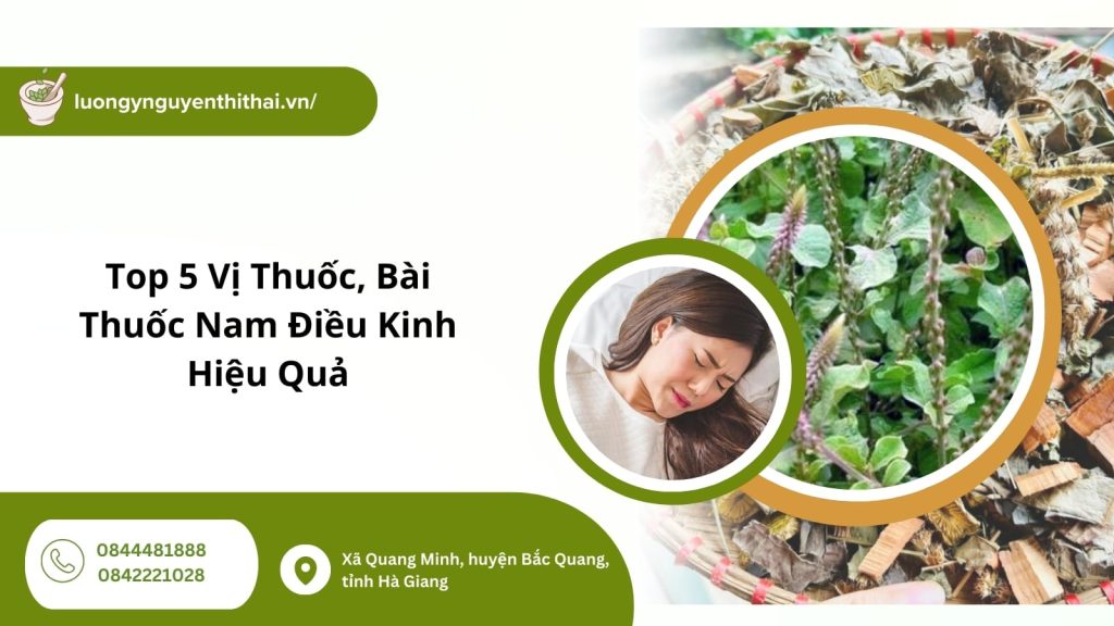 thuốc nam điều kinh